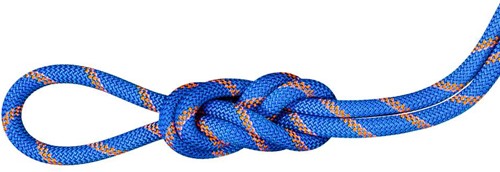 Mammut 9.0 Alpine Sender Dry Rope - Dry Standard - Ice/Sunrise - 40 m