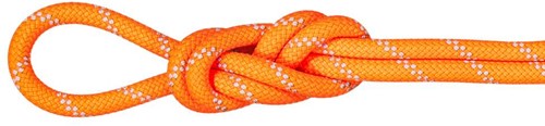 Mammut 9.5 Alpine Dry Rope - Dry Standard - Safety Orange/Zen - 70 m
