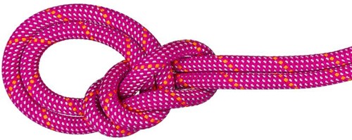Mammut 9.5 Crag Dry Rope - Dry Standard - Pink/Zen - 70 m