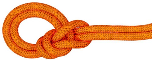 Mammut 9.8 Crag Dry Rope - Dry Standard - Safety Orange/Boa - 50 m