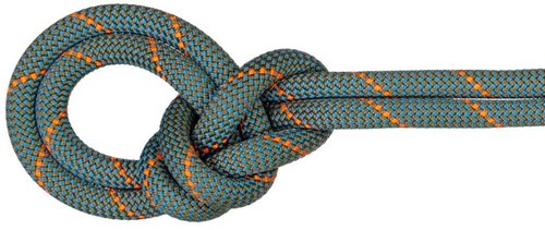 Mammut 9.9 Crag Workhorse Dry Rope - Dry Standard - Boa/Ocean - 60 m