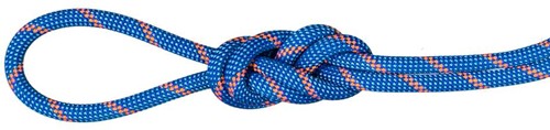 Mammut 7.5 Alpine Sender Dry Rope - Dry Standard - Blue/Safety Orange - 70 m