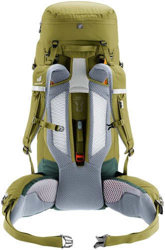 Deuter Aircontact Core 40+10 - Cactus/Ivy