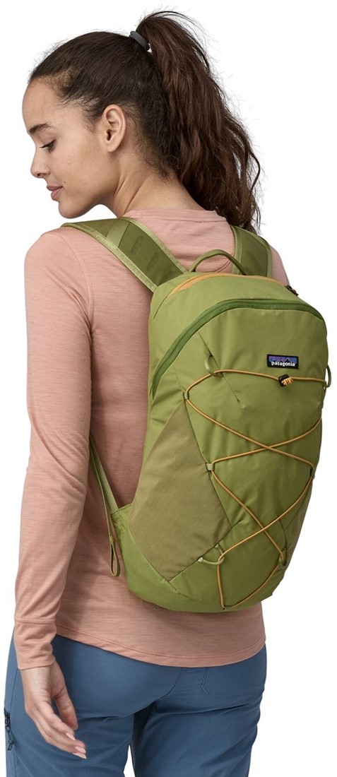 Patagonia Altvia Pack 14L Buckhorn Green M 196924045309