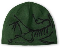 Arc'teryx Bird Head Toque - Eden/Black - Beanie