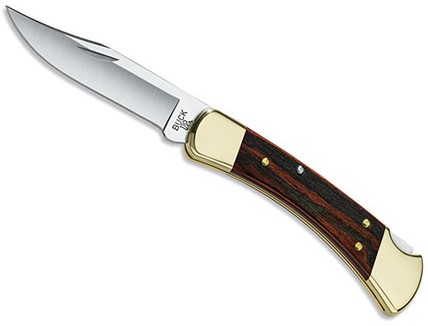 Buck 110 Folding Hunter
