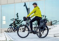 Ortlieb E-Trunk