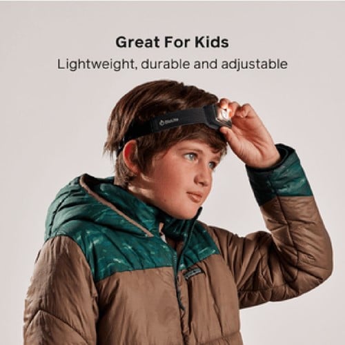 BioLite Headlamp 325