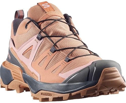 Salomon X Ultra 360 GTX W - Burro/Asphalt/Pecan Brown