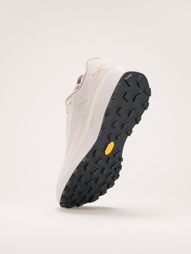 Arc'teryx Norvan Ld 4 GTX Men - Rune/Rune