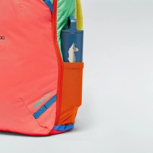 Cotopaxi Allpa 28L Travel Pack - Del Dia (Randomized Colors)