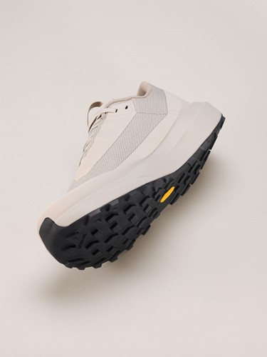 Arc'teryx Norvan Ld 4 GTX Men - Rune/Rune