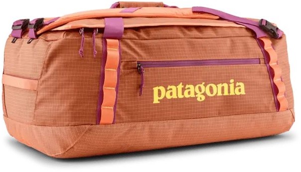 25 or 32 liter backpack patagonia Patagonia 32L Black Hole Pack Basin Green