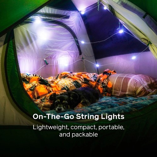 Biolite Solar String 18 - Color