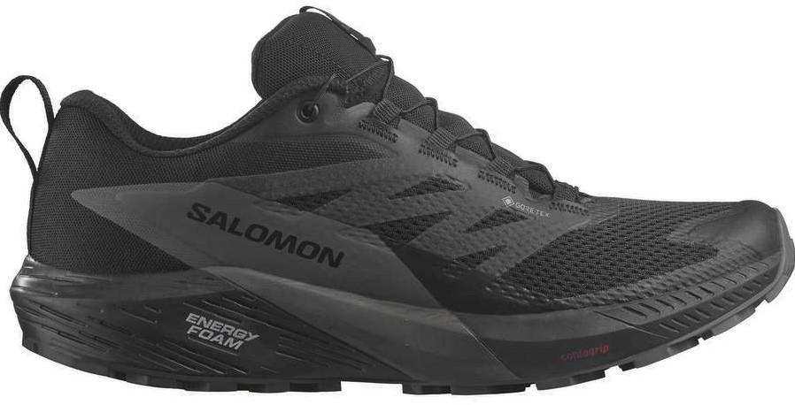 salomon sense ride 3 goretex