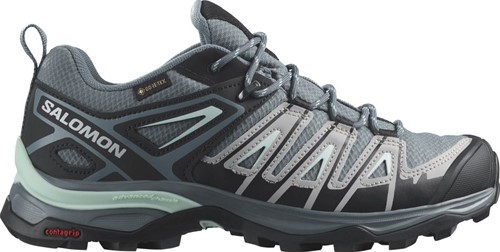 Salomon X Ultra Pioneer GTX W - Stormy Weather/Alloy/Yucca - 38 (UK 5)