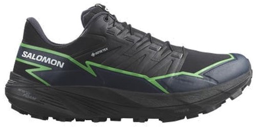 Salomon wings access gtx clearance