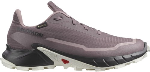 Salomon Alphacross 5 GTX W - Moonscape/Black/White - 40 (UK 6.5)