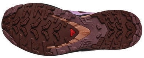 Salomon Xa Pro 3D v9 W - Rum Raisin/Orchid Bouquet/Canyon Clay