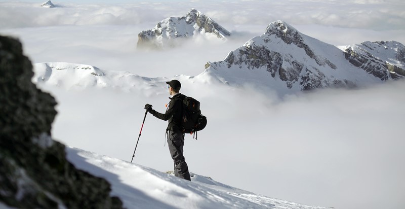 The different types of ski poles