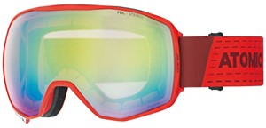 Ski goggles