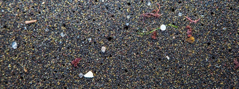 What are microplastics?