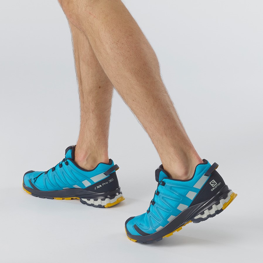 salomon xa pro 3d v8 gtx trail